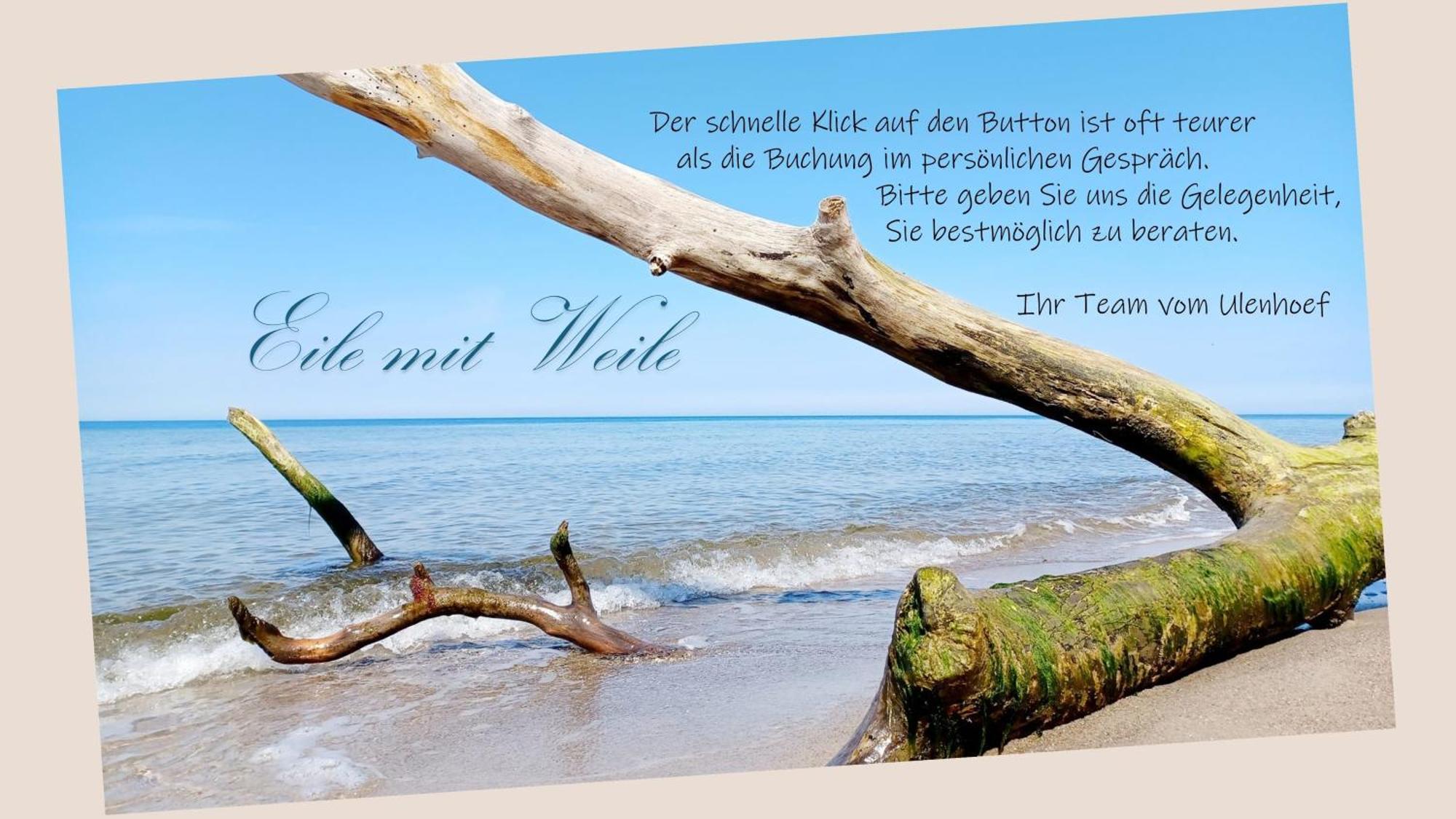Fewo Weide - Ulenhoef Prerow Esterno foto